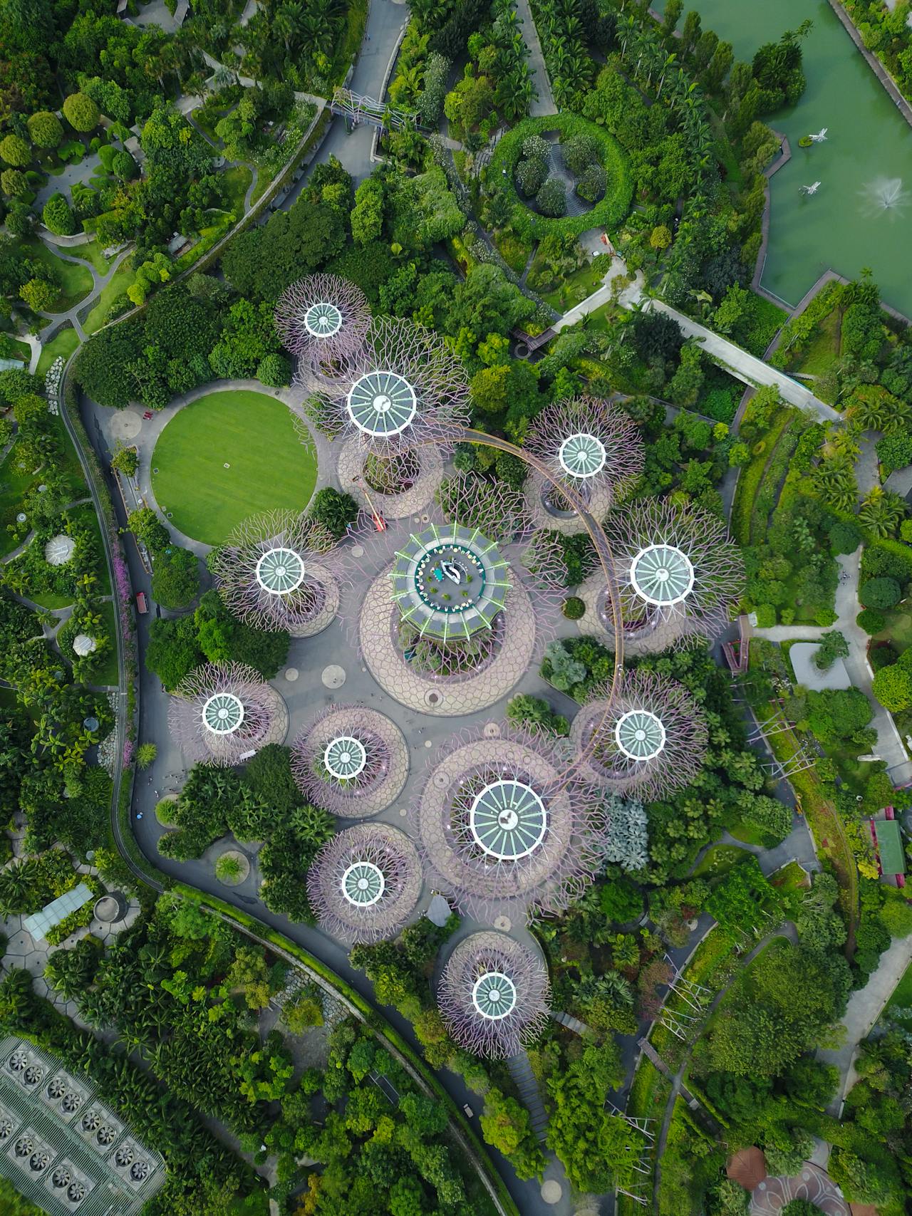 Commercial courtyard landscape design by Lyxdrvel in Sydney CBD